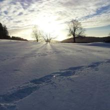 20140105_161046.jpg