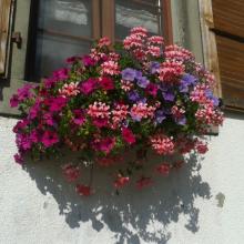 20150822_165323.jpg